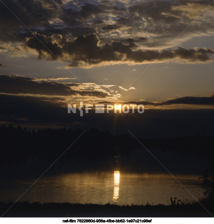 Природа Новгородской области