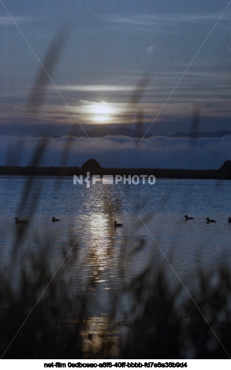 Природа Приморского края