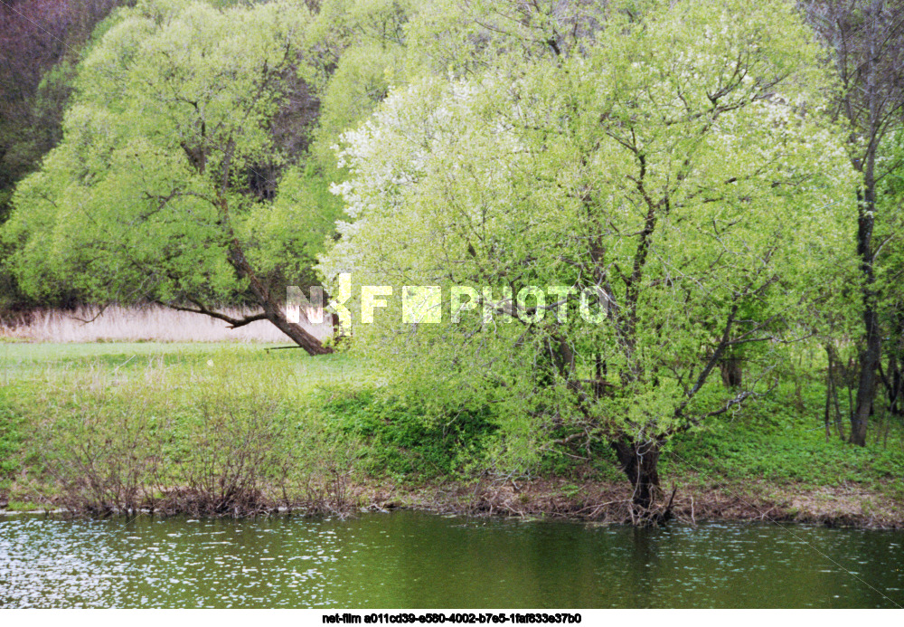Spring in Kaluga region