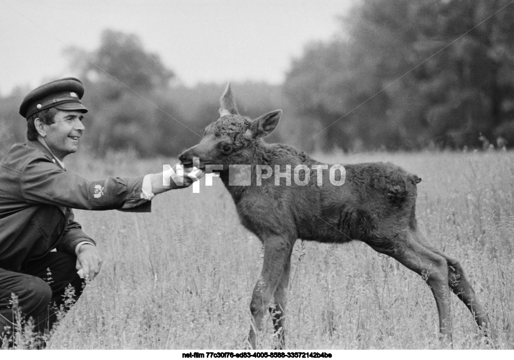 Forestry Department "Buzuluk Bor"