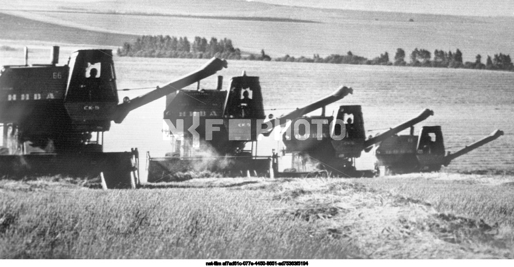 Harvesting in the Altai region