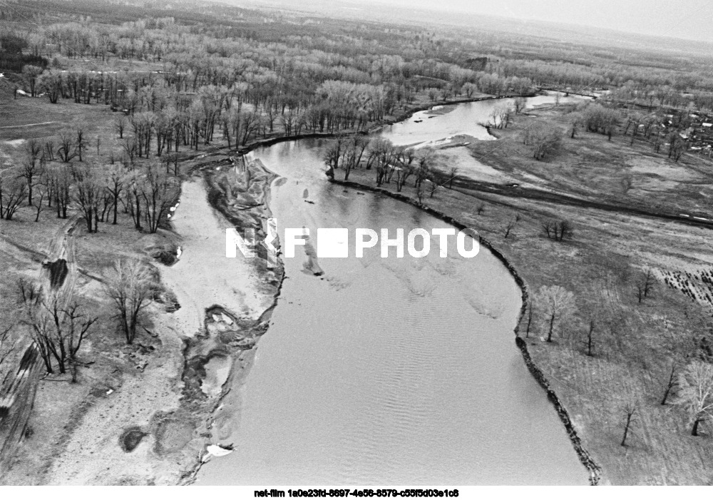Управление лесного хозяйства «Бузулукский бор»