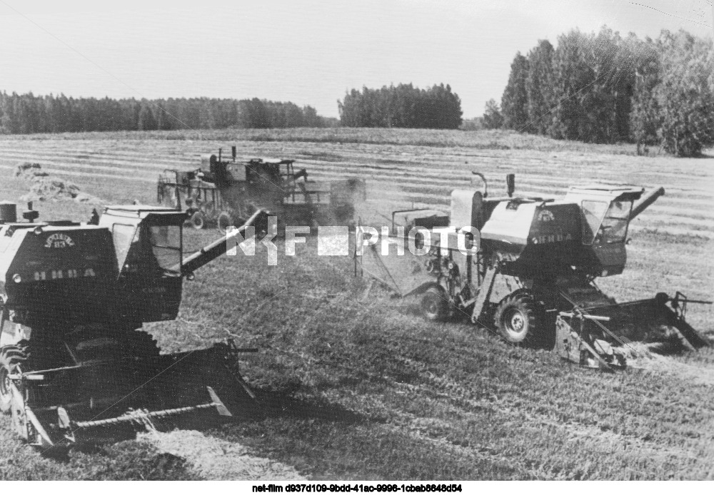Kolkhoz named after V.I. Lenin in the Chelyabinsk region