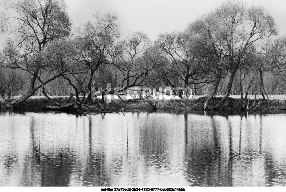 Nature of Moscow Region