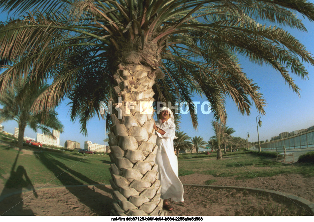 Виды Шарджи