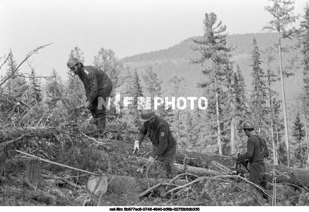 Строительство Байкало-Амурской магистрали