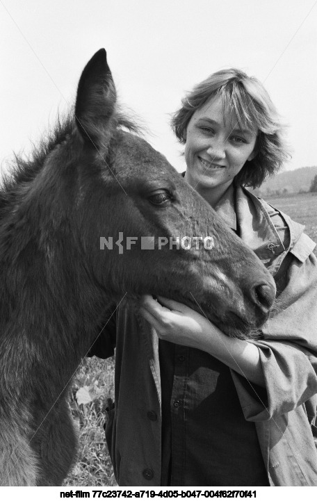 Summer in the Moscow region