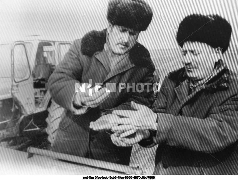 Рисомолочный совхоз "Темираульский" в Дагестанской АССР