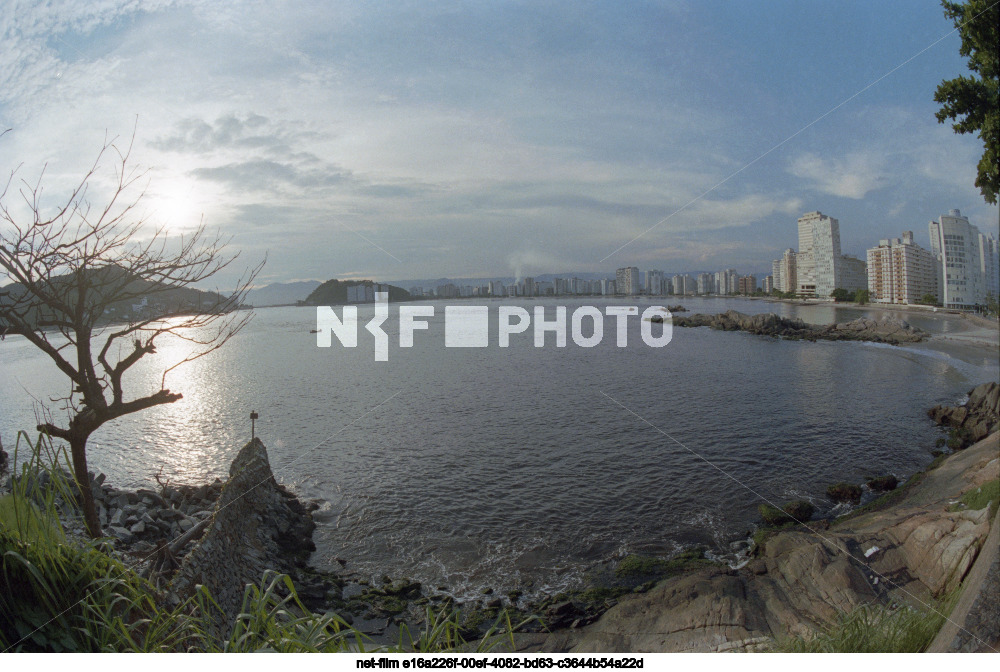 Виды Сантуса