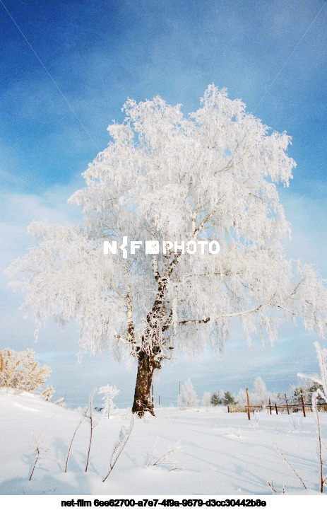 Winter in Tyumen region