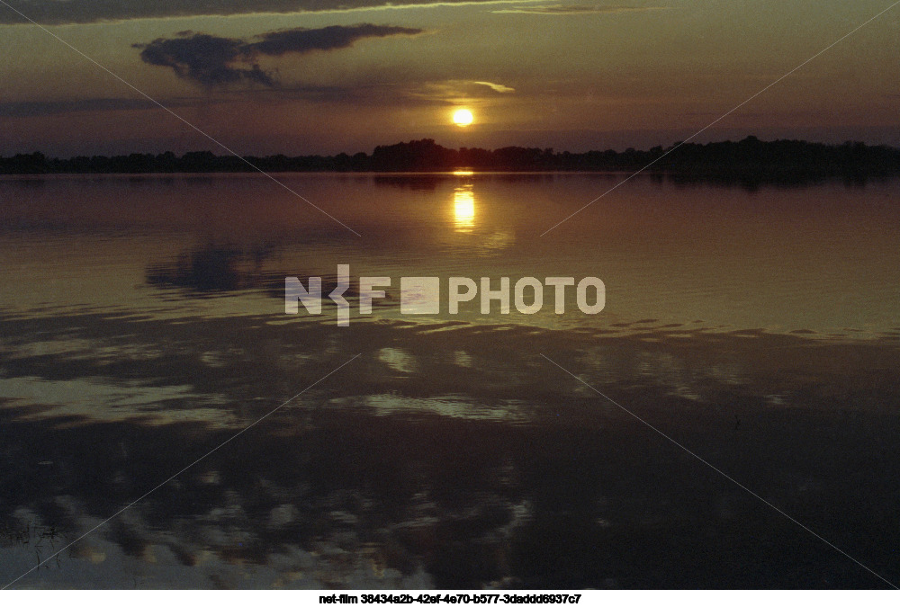 Природа Новгородской области
