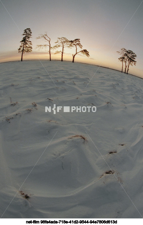 Природа Тюменской области