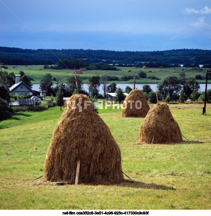 Виды Новгородской области
