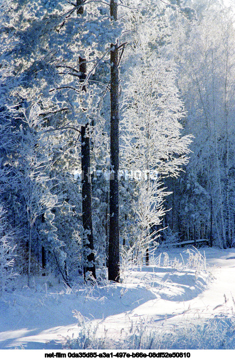 Winter in Tyumen region
