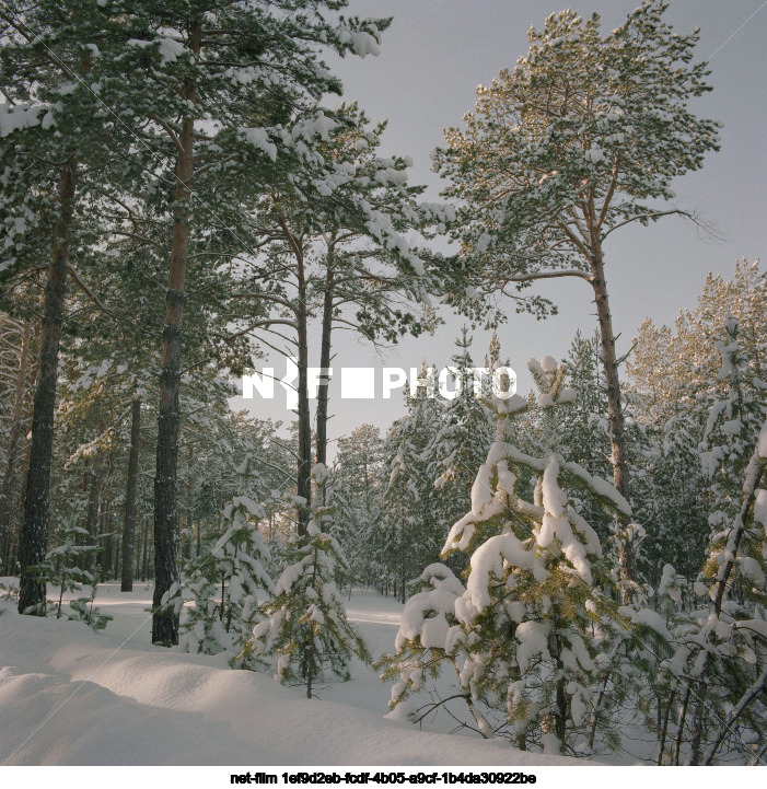 Nature of the Tyumen region