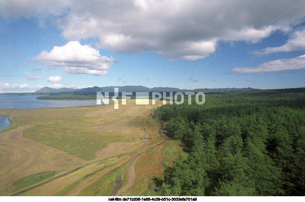 Виды Сахалинской области