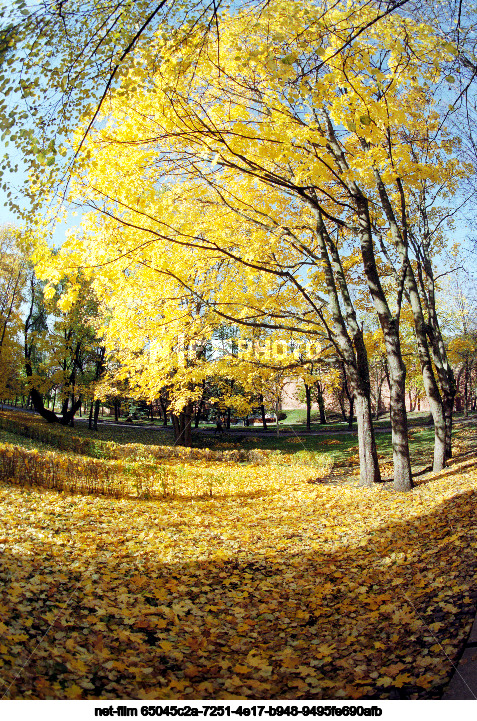 Осень в Новгороде