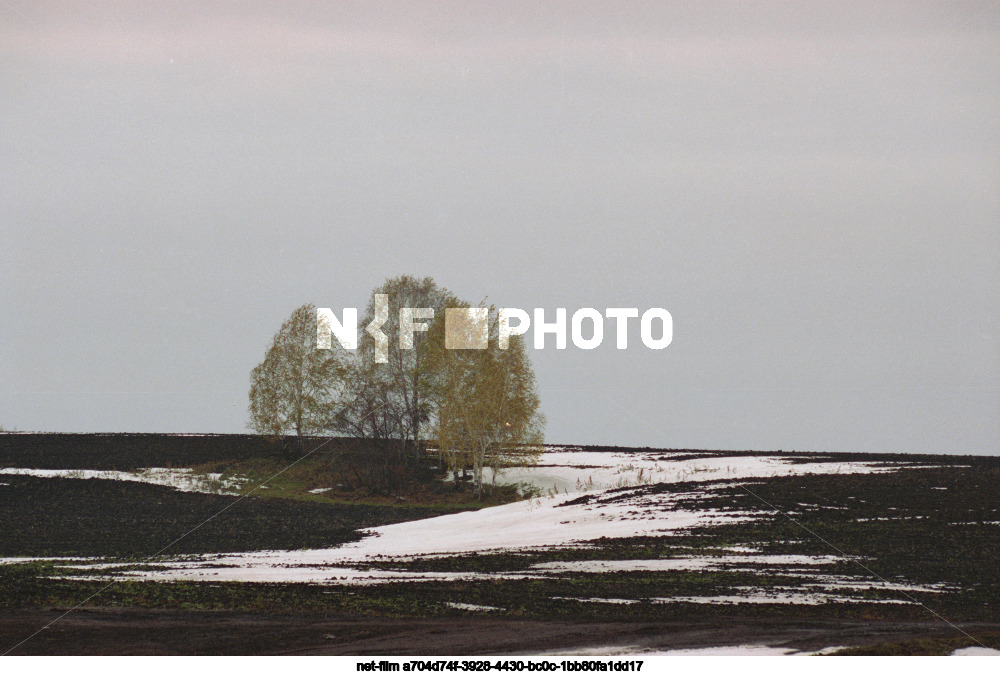 Осень в Тюменской области