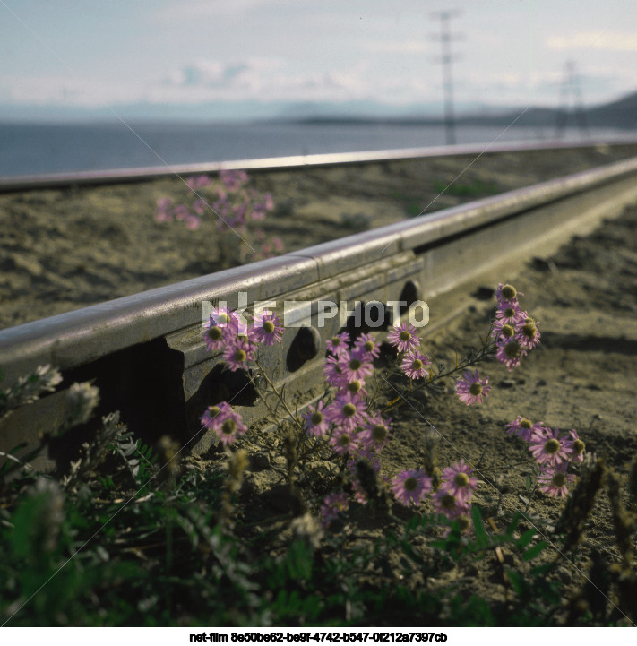 Байкало-Амурская магистраль