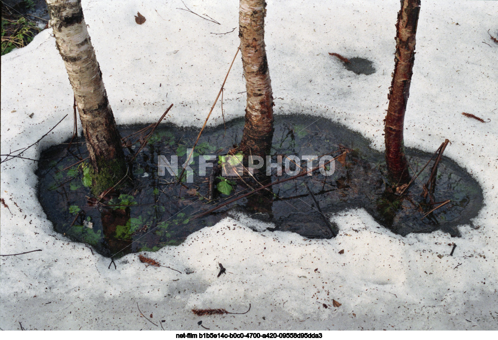 Spring in the Moscow region