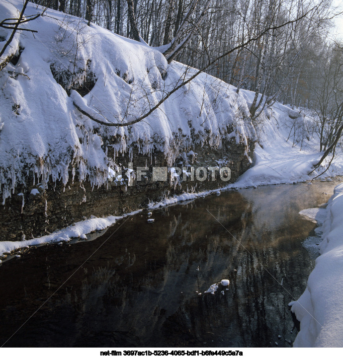 State Nature Reserve "Galichya Gora" in Lipetsk Region