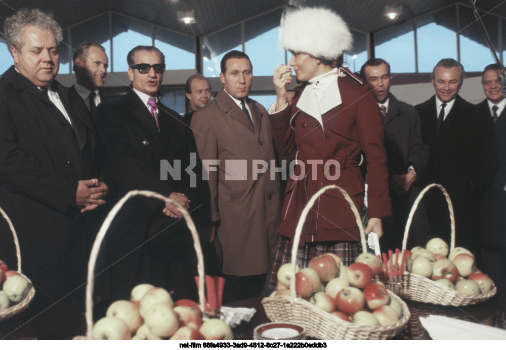 Official visit of M.R. Pahlavi to the USSR