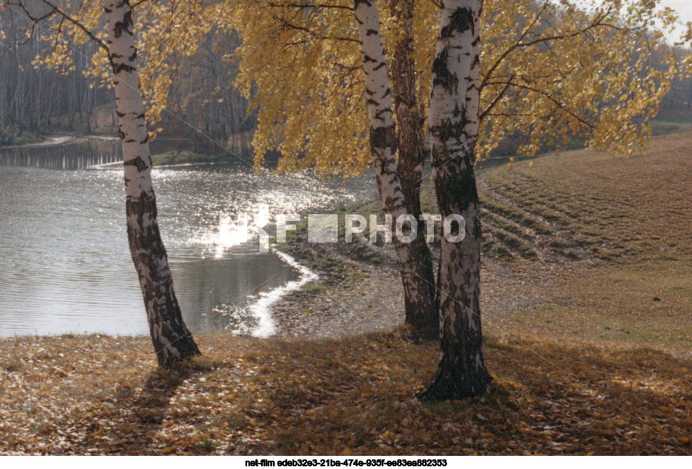 Осень в Новгородской области
