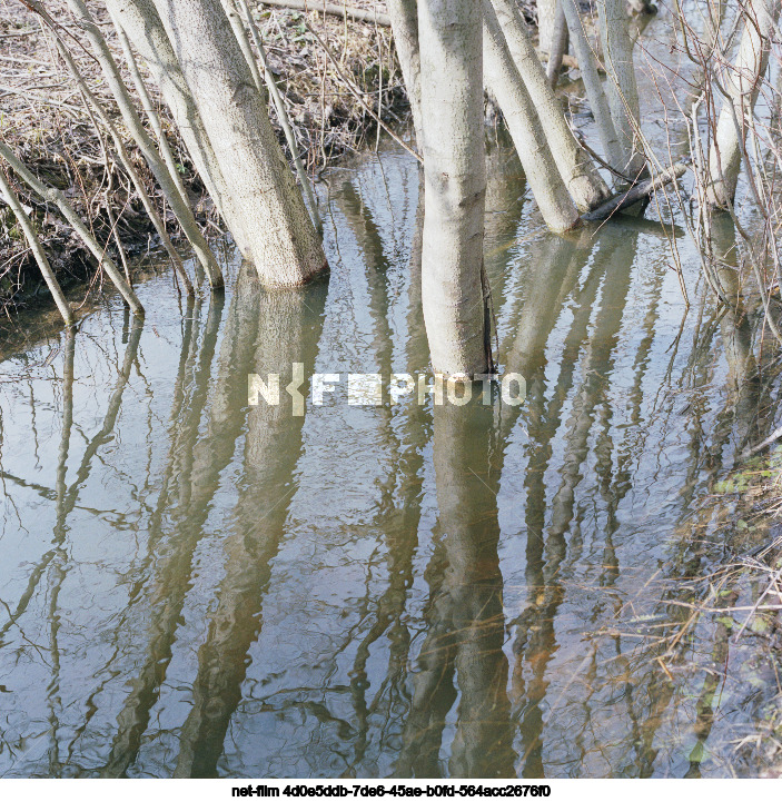 Spring in the Moscow region