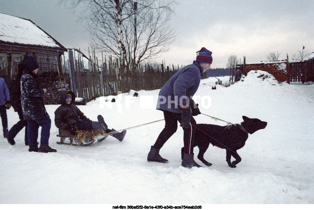 Виды деревни Зенцово Калининской области
