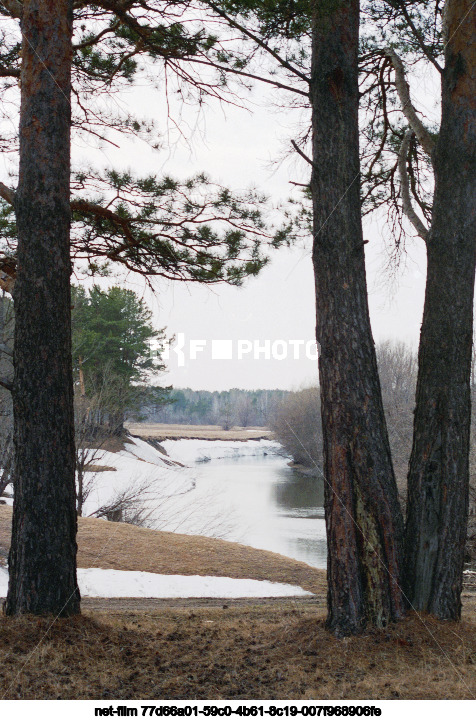 Spring in the Tyumen region