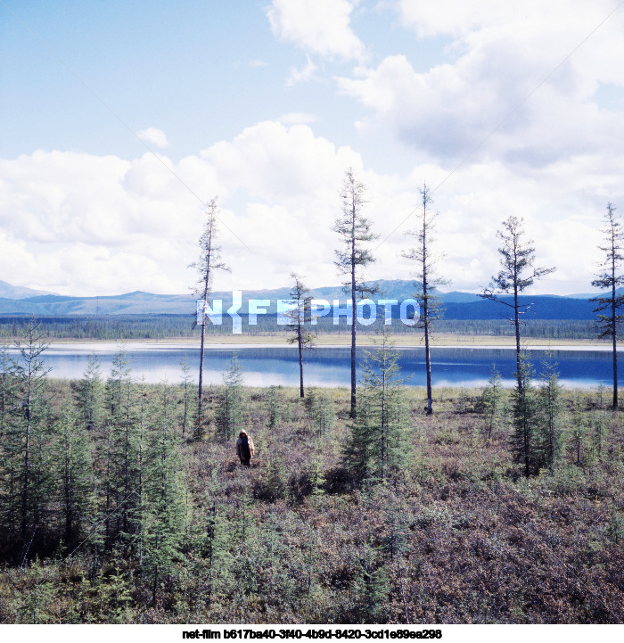 Виды Читинской области