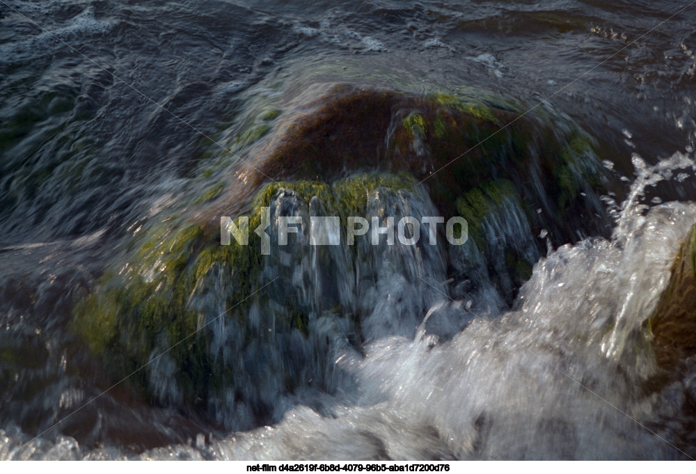 Природа Калининградской области