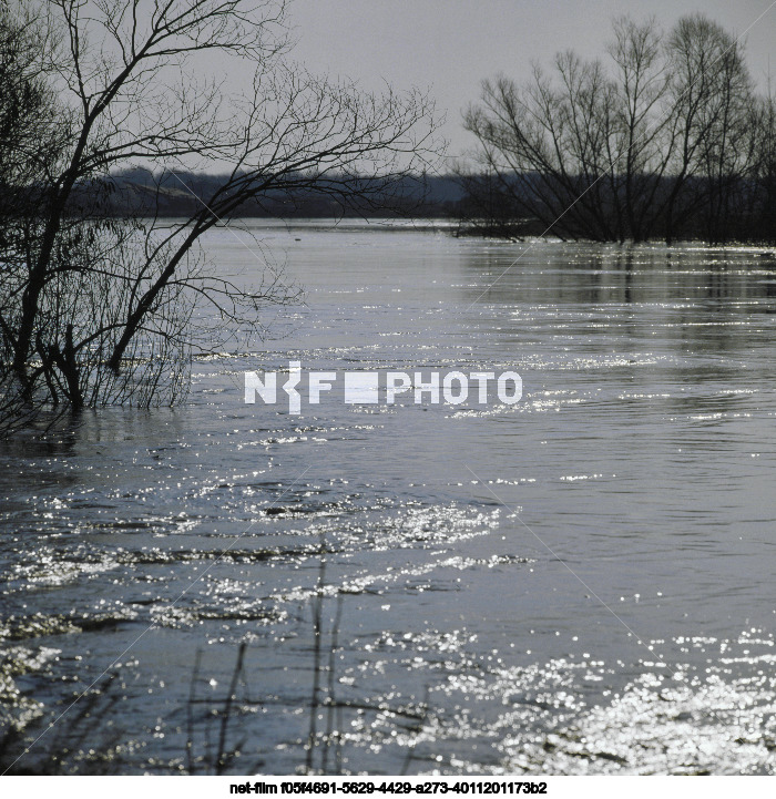 Nature of Kursk region