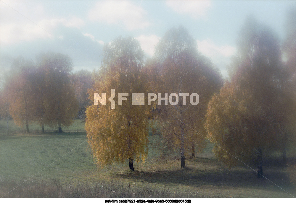 Природа Тюменской области