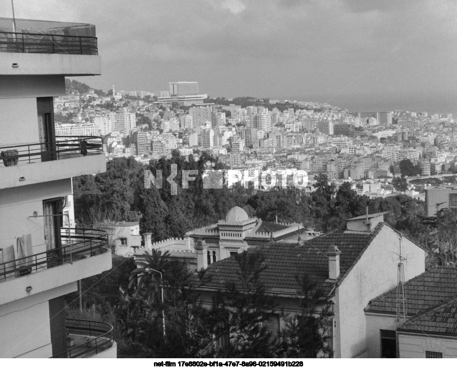 Виды Алжира