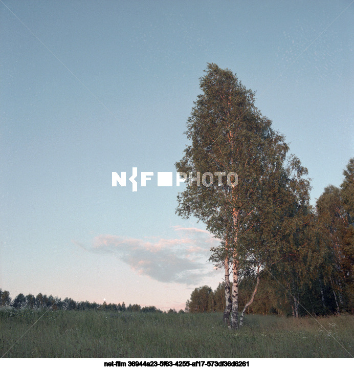 Nature of the Gorky region