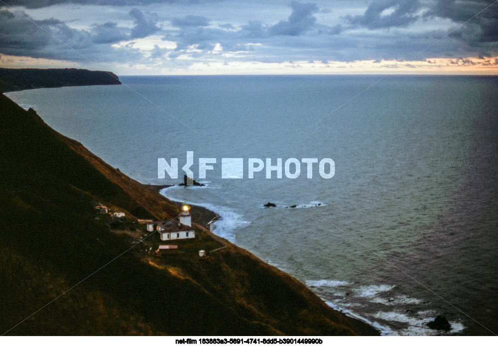 Виды Сахалинской области