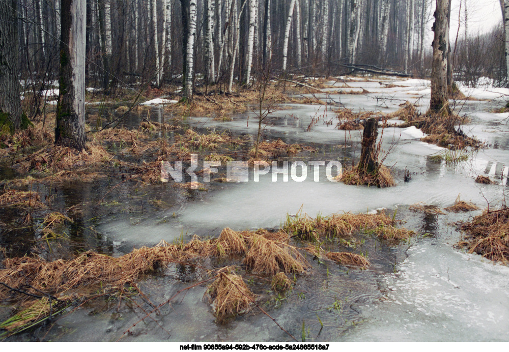 Spring in the Moscow region