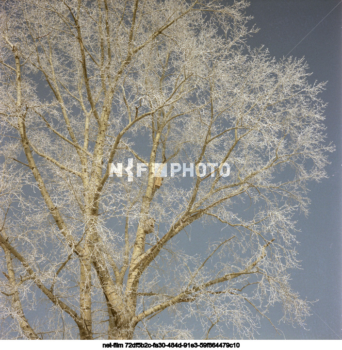 Зима в Алтайском крае