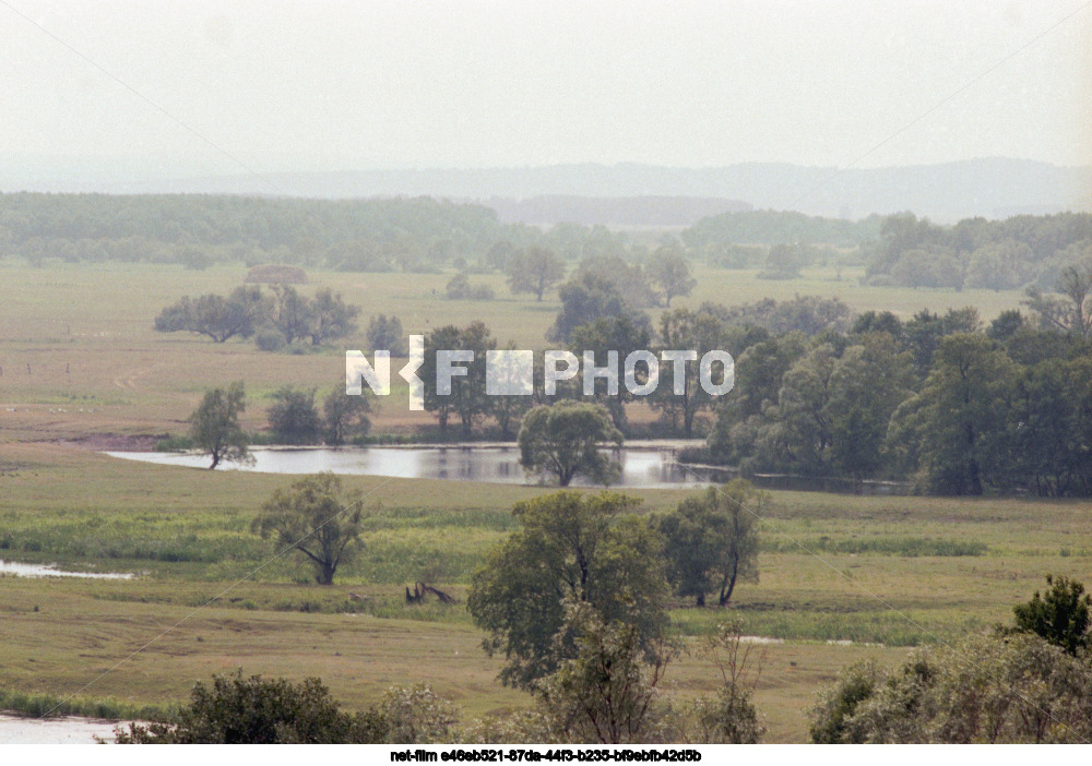 Nature of Kursk region