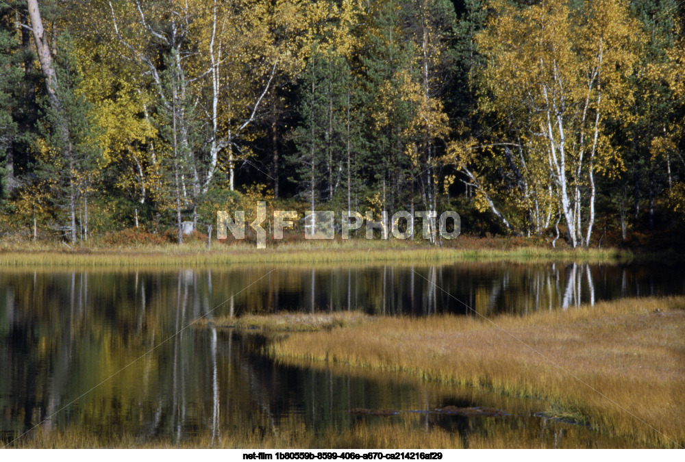 Осень в Архангельской области