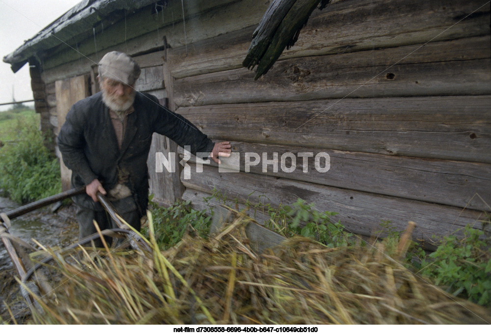 Resident of the village of Sosnovets V.F. Filippov