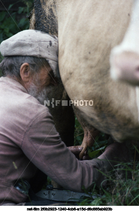 Resident of the village of Sosnovets V.F. Filippov