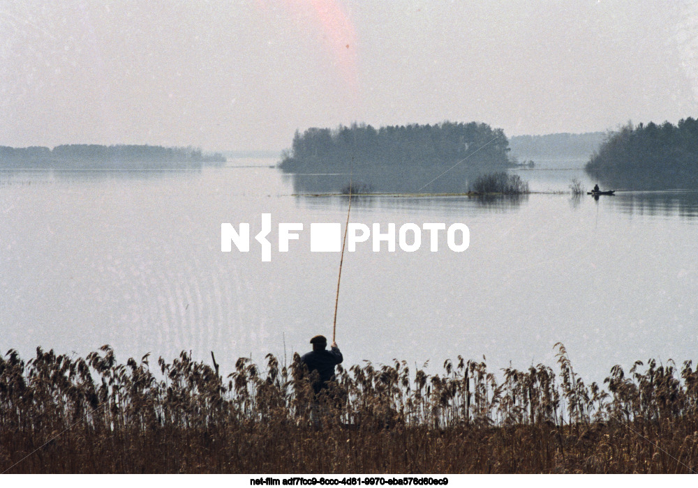 Природа Калининской области