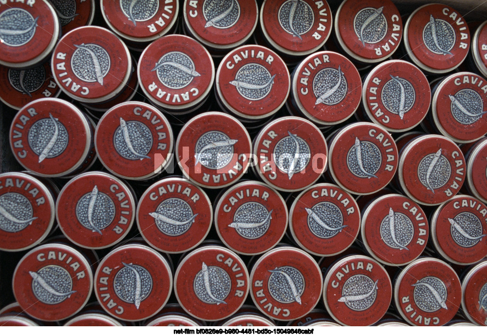 Черная икра