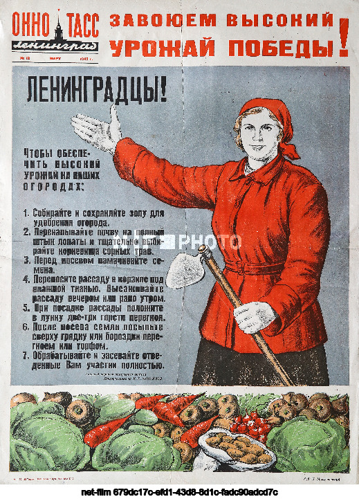 Агитационные плакаты "Окна ТАСС"