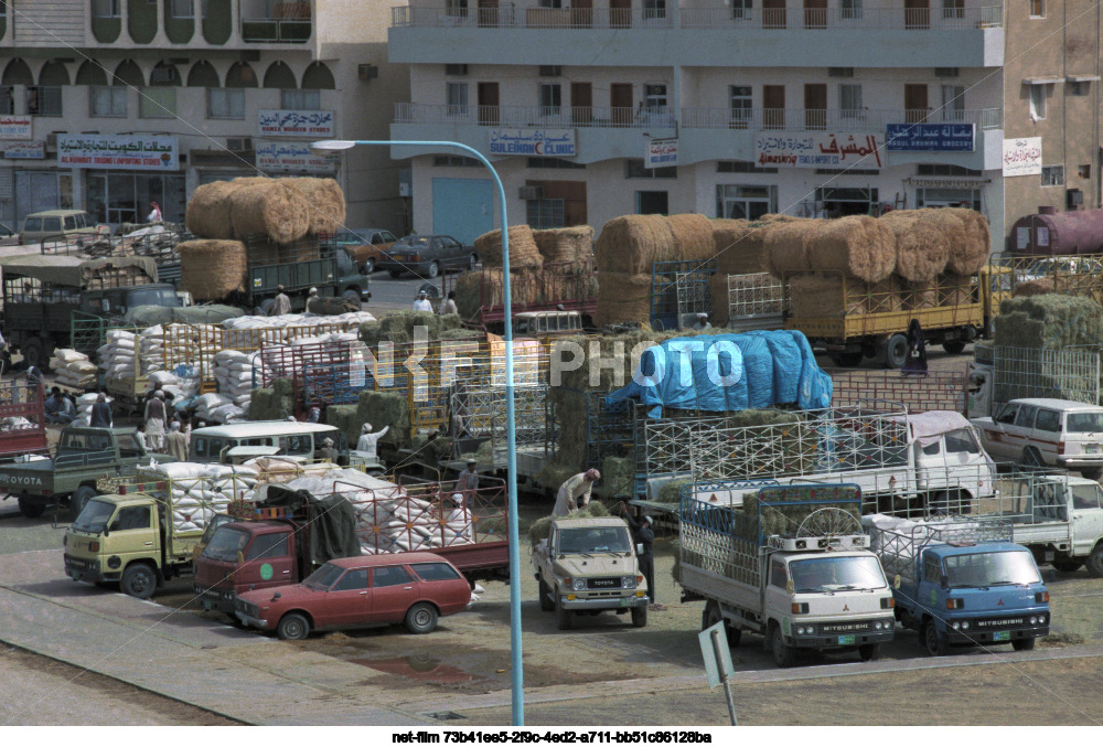 Виды Абу-Даби