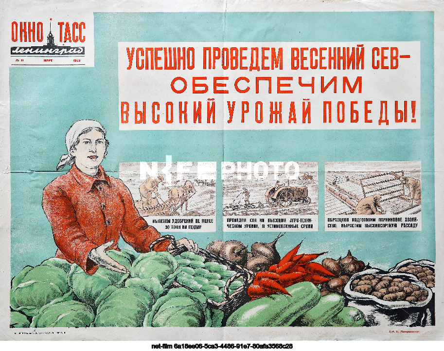 Агитационные плакаты "Окна ТАСС"