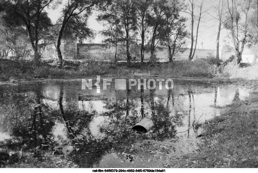 Экологические проблемы в Суздале