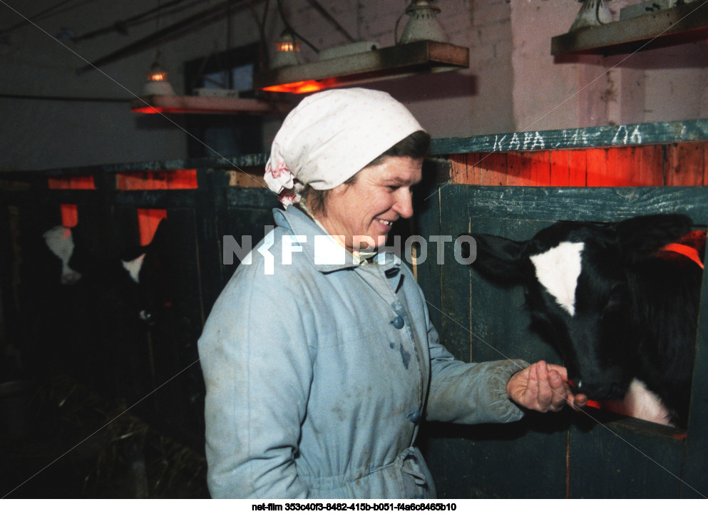 Опытно-производственное хозяйство имени В.И. Ленина ВНИИ льна в Калининской области